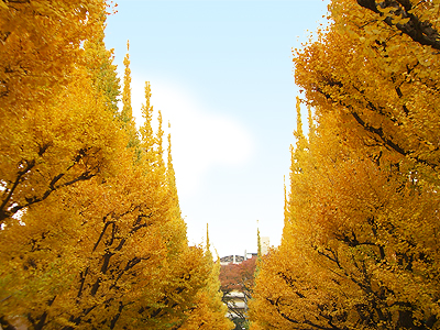 かろうじてきいろい。