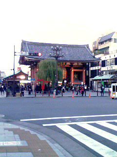 今日はカメラを忘れてしまったので泣く泣く携帯で…。