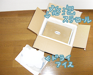 うれしいオマケとしてドライアイスで遊べます(←)